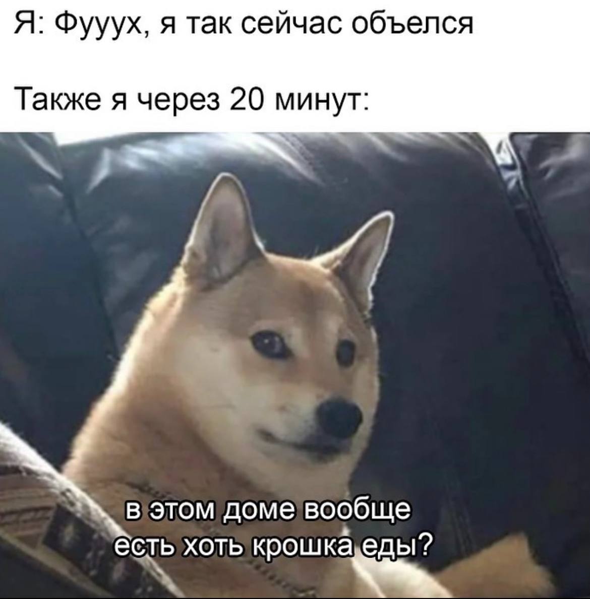 Я: Фууух, я так сейчас объелся Также я через 20 минут: в этом доме вообще есть хоть KPO