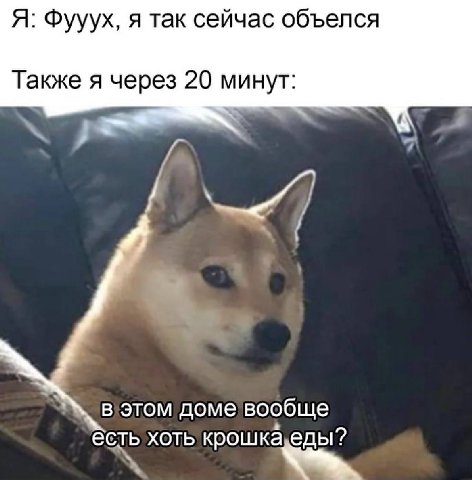 Я: Фууух, я так сейчас объелся Также я через 20 минут: в этом доме вообще есть хоть KPO