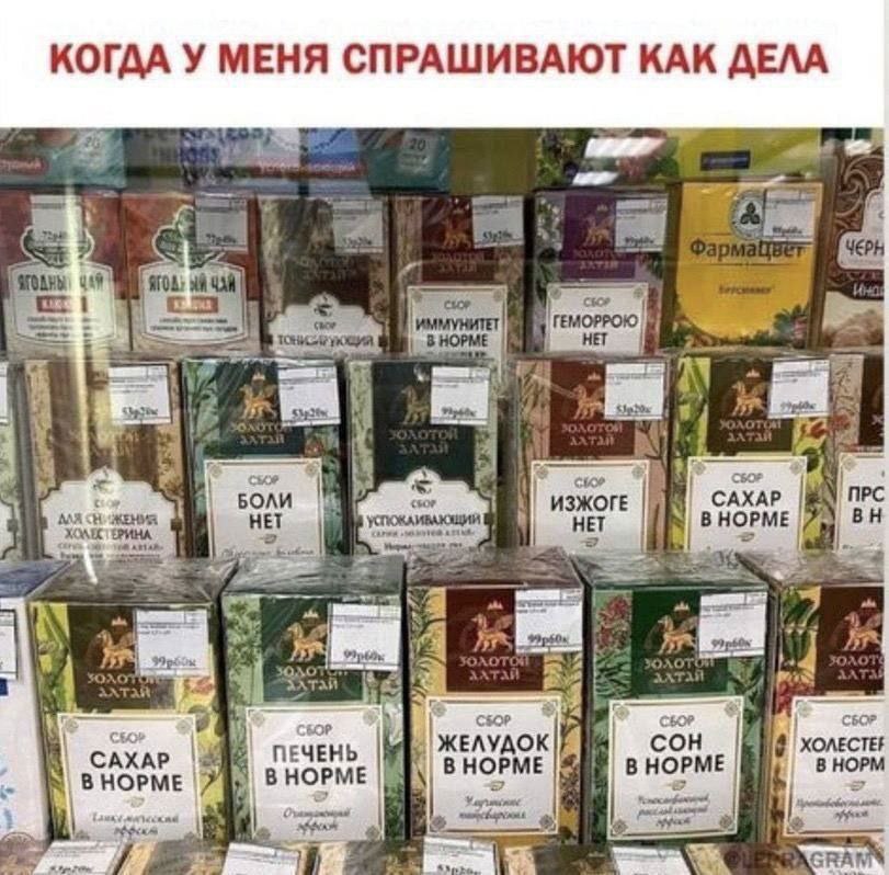 КОГДА У МЕНЯ СПРАШИВАЮТ КАК ДЕЛА ЧАЙ ГЕМОРРОЮ В НОРМЕ vase Я СБОР БОЛИ Я ИЗЖОГЕ САХАР ПРС AAA НЕТ HOPME 4 OAC 4 16 a3 СБОР COH САХАР ПЕЧЕНЬ ЖЕЛУДОК В НОРМЕ В НОРМ ВНОРМЕ ВНОРМЕ В НОРМЕ GRAW
