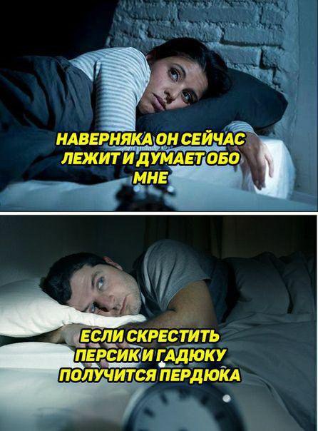 НАВЕРНЯКА.ОН СЕЙЧАС ЛЕЖИТИ ДУМАЕТОБО МНЕ ЕСЛИ СКРЕСТИТЬ ПЕРСИКИ ГАДЮКУ ПОЛУЧИТСЯ ПЕРДЮКА 9