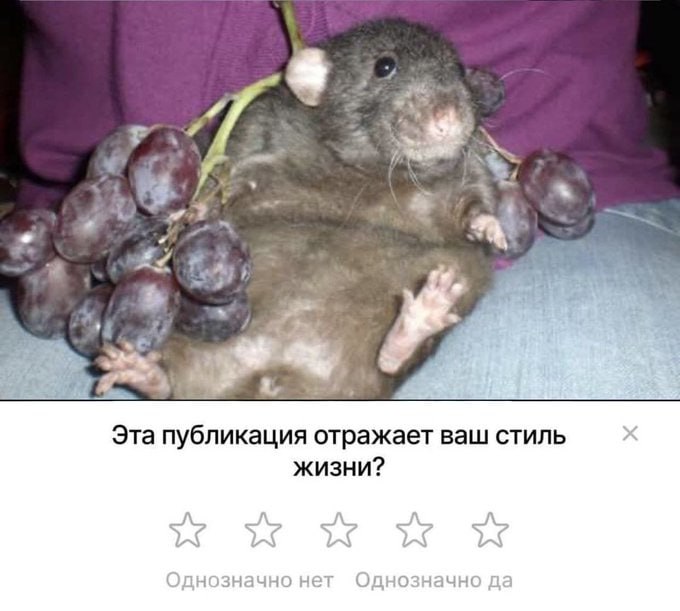4 7 и; Эта публикация отражает ваш стиль жизни? нет