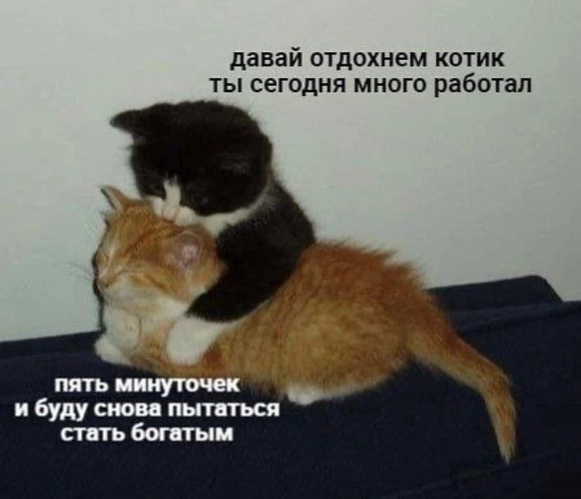 давай отдохнем котик ты сегодня много работал За пять и буду снова пытаться стать богатым