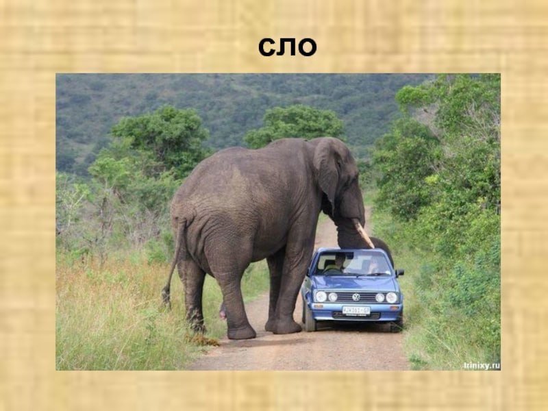 сло 2