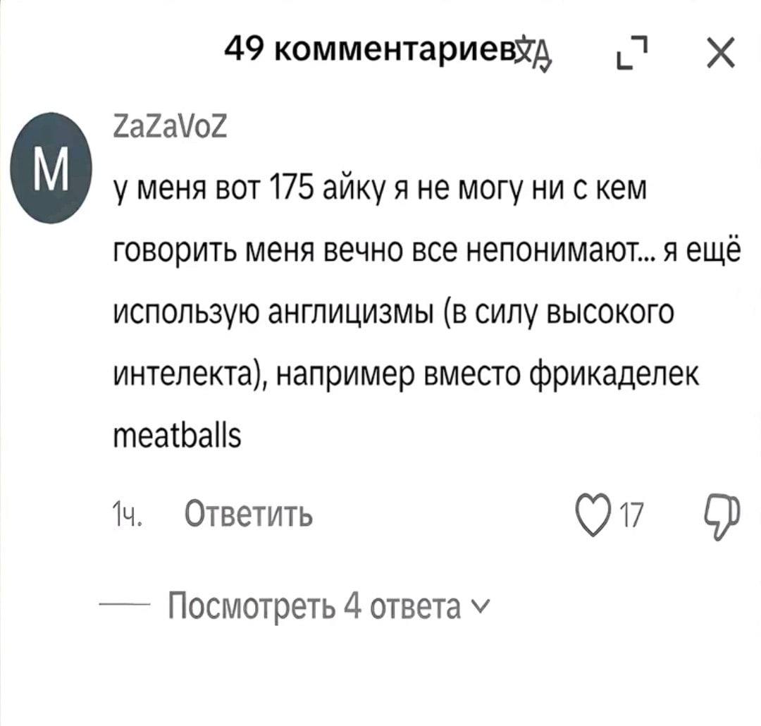49 комментариевхд 1 ZaZaVoZ у меня вот 175 айку я не могу ни с кем говорить меня вечно все непонимают.. я ещё использую англицизмы (в силу высокого интелекта), например вместо фрикаделек meatballs Отв