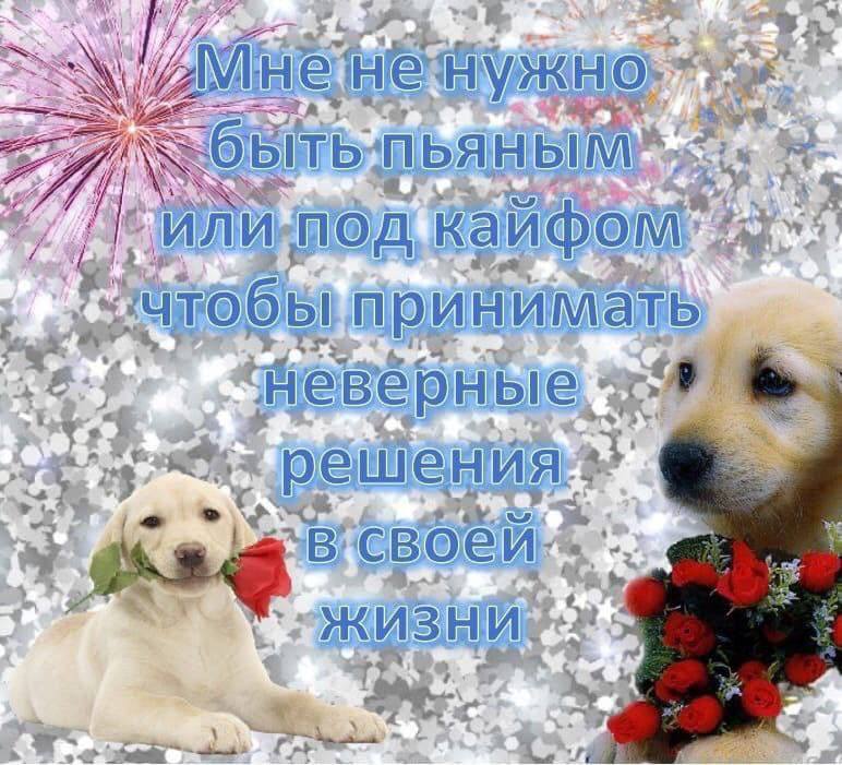a под прин +3