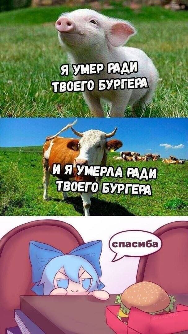 Я УМЕР РАДИ, _ТВОЕГО БУРГЕРА A. УМЕРЛА РАДИ ТВОЕГ 0 БУРГ EPA