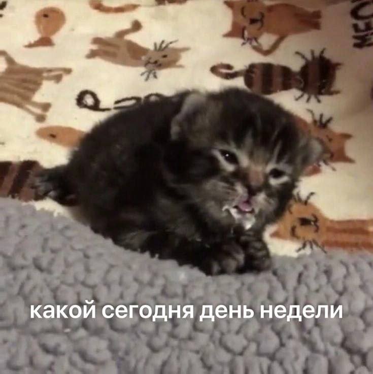 состояние уже примерно такое: