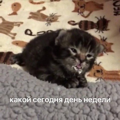 состояние уже примерно такое: