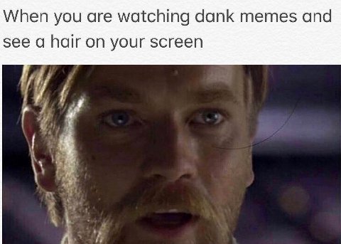 When you are watching dank memes and see а hair on your screen