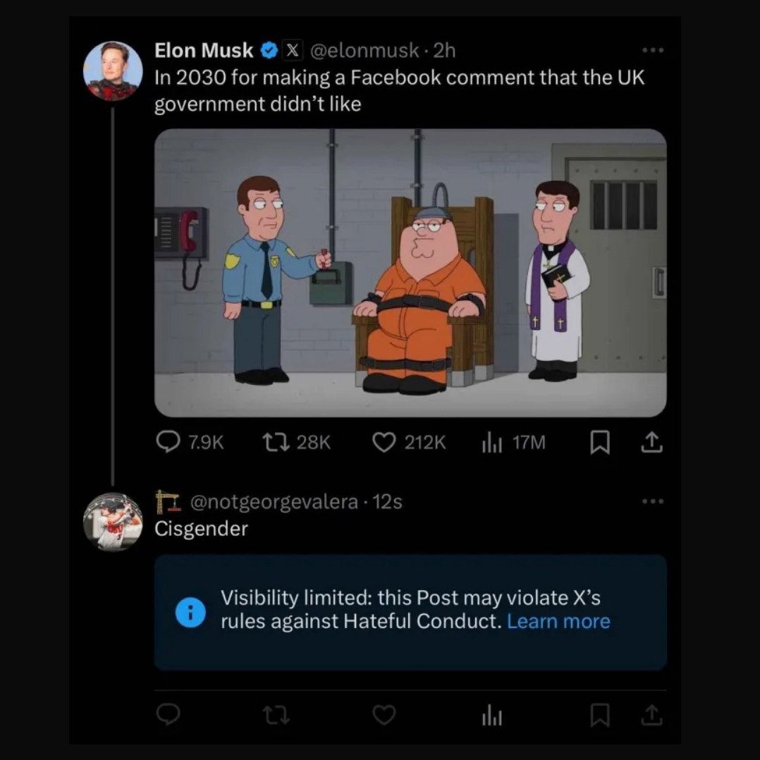 Elon Musk In 2030 for making a Facebook comment that the government didn’t like 13 212к A @notgeorgevalera 125 Cisgender Visibility limited: this Post may violate rules against Hateful Conduct. Learn 
