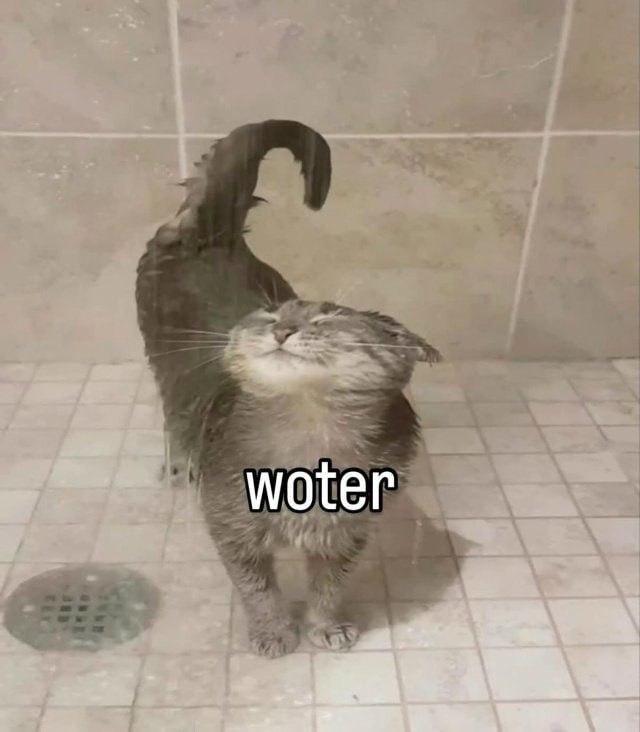 woter