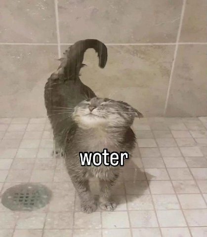 woter