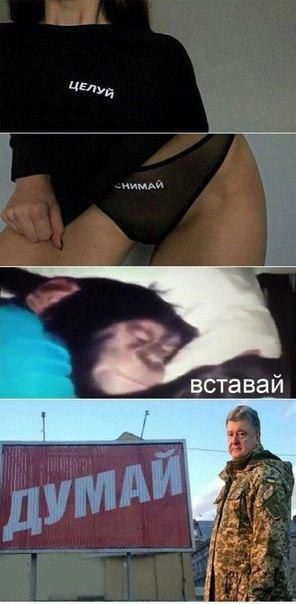 вставай
