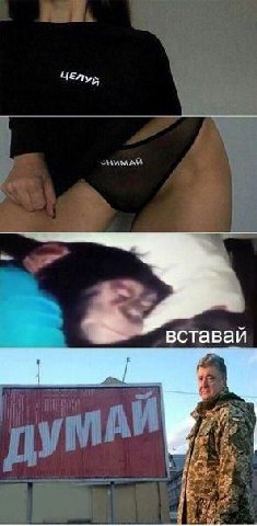 вставай