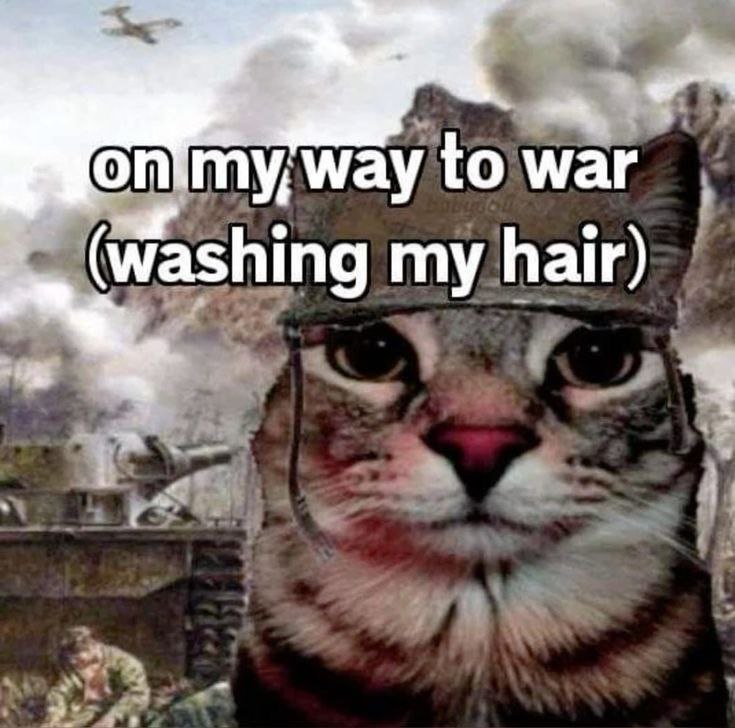 way to war Washing my hair)