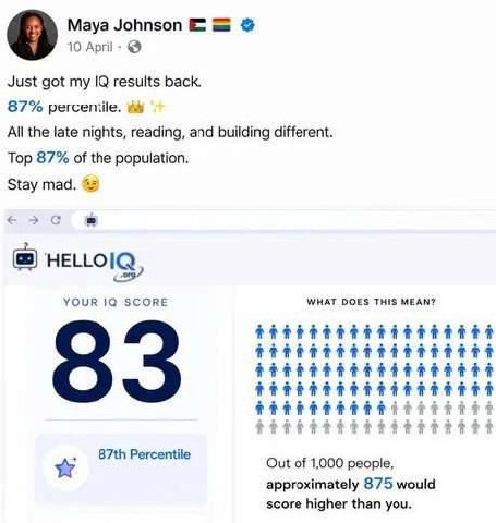 Maya Johnson 10 Aprii- Just got my results back. 87% percentile. All the late nights, reading, and building different. Top 87% of the population. Stay mad. HELLOIQ YOUR 19 SCORE WHAT DOES THIS MEAN? O