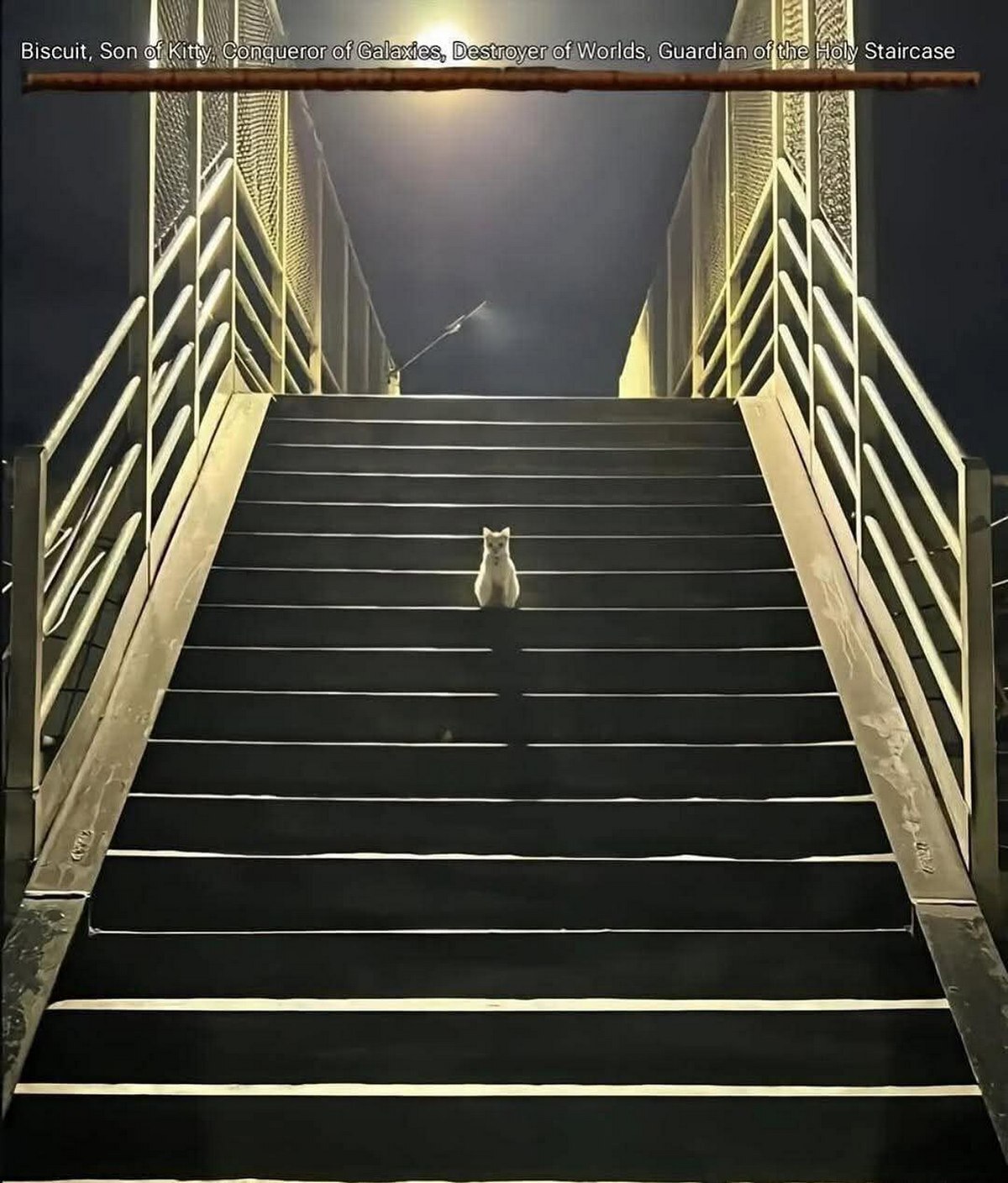 Biscuit, Son биага! JAA Staircase абы