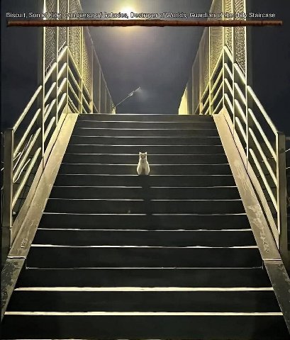 Biscuit, Son биага! JAA Staircase абы