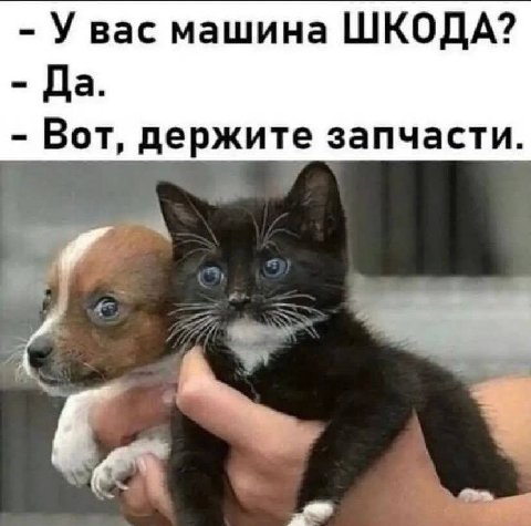 У вас машина ШКОДА? Да. Вот, держите запчасти.