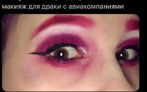 макияж для драки с авиакомпаниями