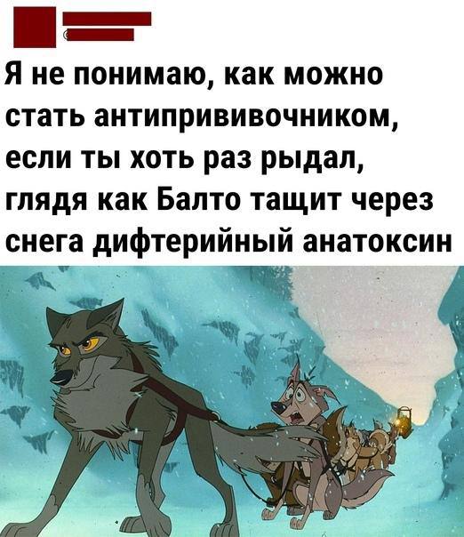 Я не понимаю, как можно стать антипрививочником, если ты хоть раз рыдал, глядя как Балто тащит через снега дифтерийный анатоксин