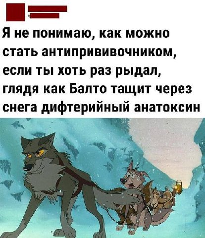 Я не понимаю, как можно стать антипрививочником, если ты хоть раз рыдал, глядя как Балто тащит через снега дифтерийный анатоксин