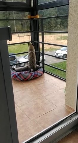 мем