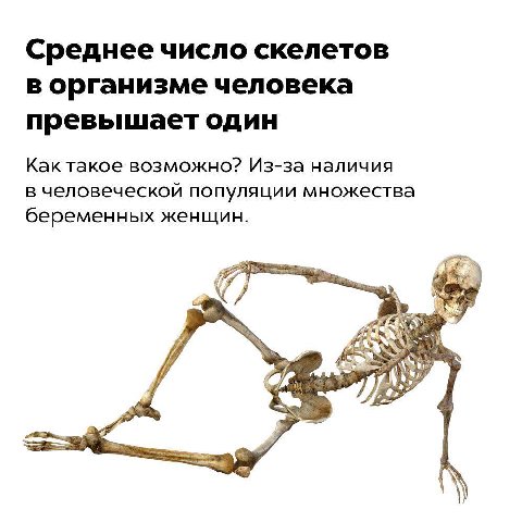 Среднее число скелетов в организме человека превышает один Как такое возможно? Из-за наличия в человеческой популяции множества беременных женщин. A ANY