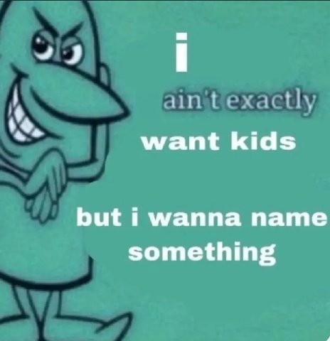 want kids but i wanna name something