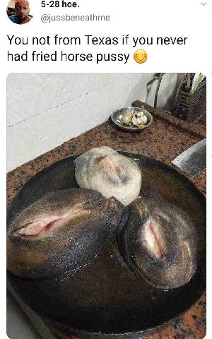 5-28 hoe. @jussbeneathme You not from Texas if you never had fried horse pussy 1