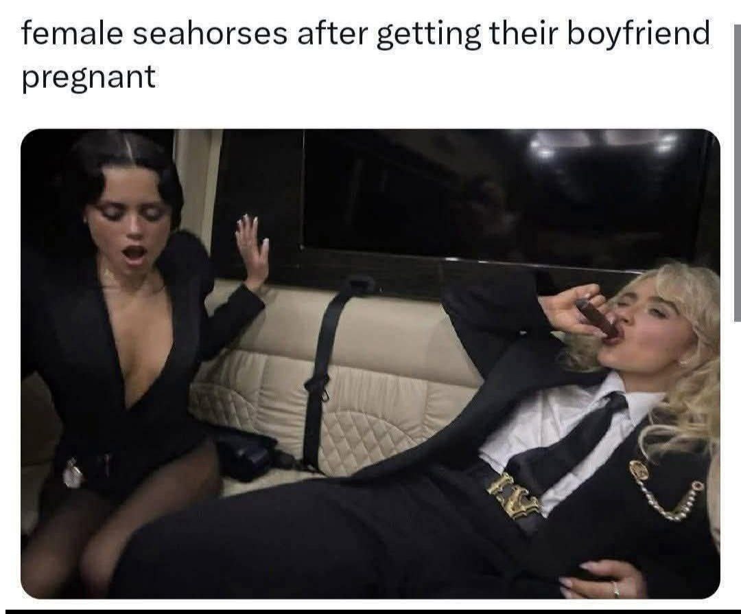 female seahorses after getting their boyfriend pregnant