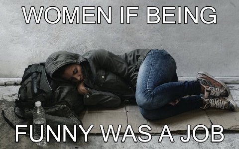 WOMEN IF BEING FUNNY WAS A JOB