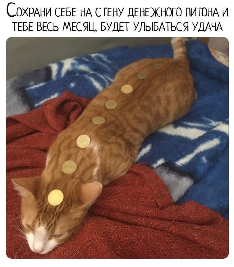 (СОХРАНИ СЕБЕ НА СТЕНУ ДЕНЕЖНОГО ПИТОНА И ТЕБЕ ВЕСЬ МЕСЯЦ, БУДЕТ УЛЫБАТЬСЯ УДАЧА а