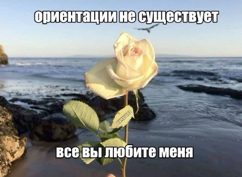 и всевы любите меня