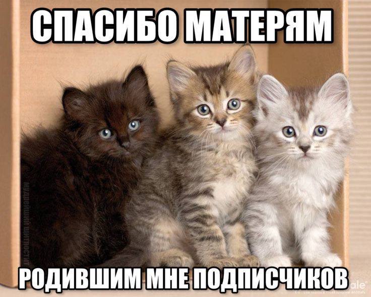 СПАСИБО МАТЕРЯМ omy ж РОДИВШИМ МНЕ