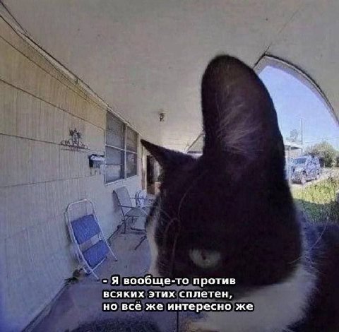и Я вообще-то против всяких этих сплетен, но всё же интересно же