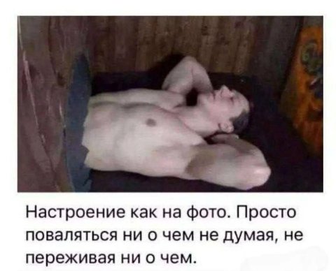 Настроение как на фото. Просто поваляться ни о чем не думая, не переживая ни о чем.