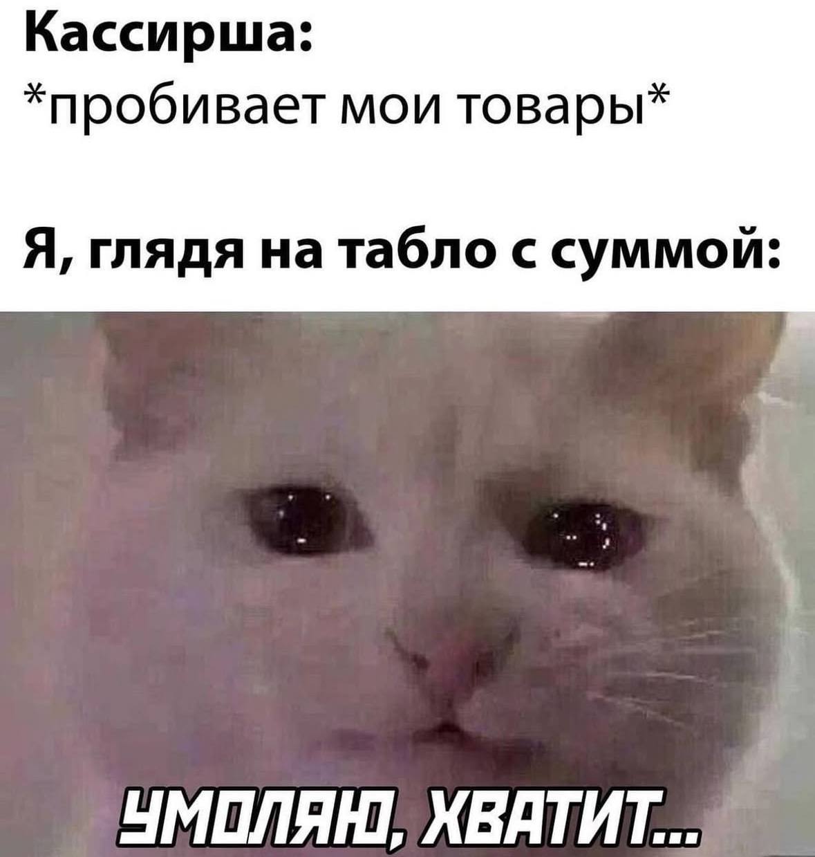 Кассирша: *пробивает мои товары* Я, глядя на табло с суммой: ХВАТИТ...
