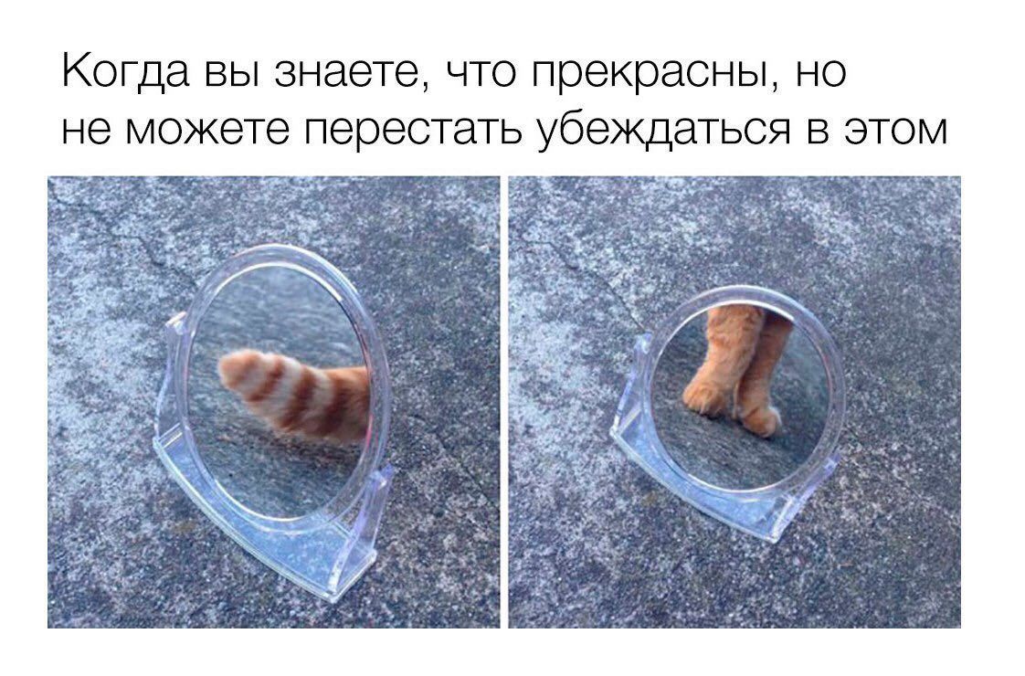 Когда вы знаете, что прекрасны, но не можете перестать убеждаться в этом as А, i at "he 4 AN 1% у a