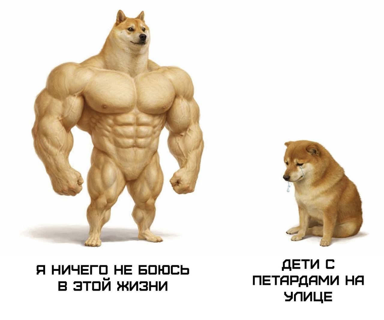 4 A Я НИЧЕГО HE БОЮСЬ ДЕТИ С в этой жизни ПЕТЯРДЯМИ УЭПИЦЕ