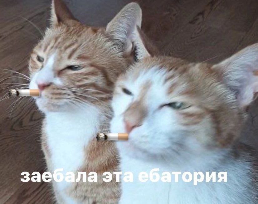 ория