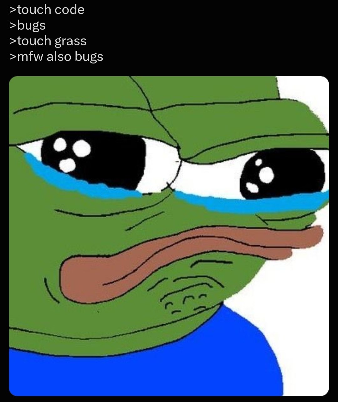 >touch code >bugs >touch grass >mfw also bugs