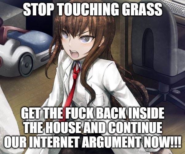STOP TOUCHING GRASS FUCK INSIDE INTERNET