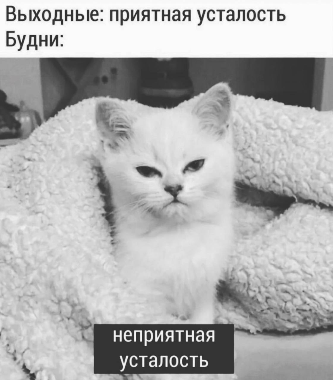 Выходные: приятная усталость Будни: неприятная усталость