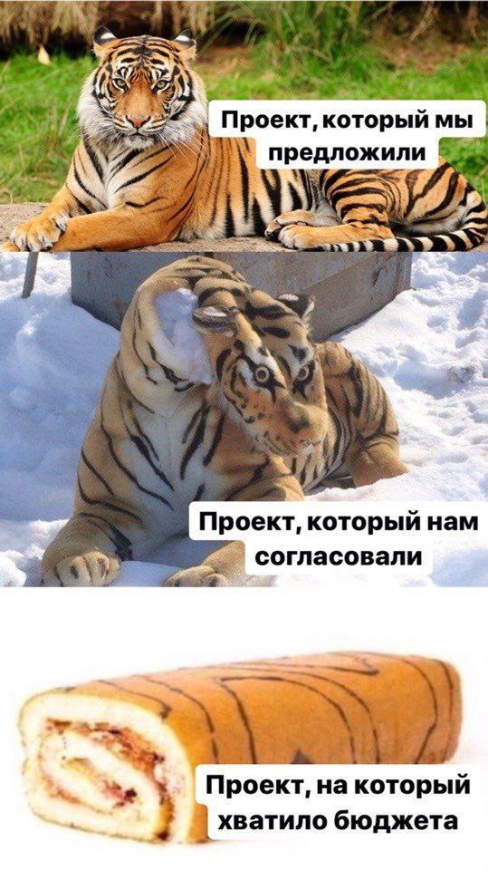 YESS Проект, который мы предложили AS Проект, который нам согласовали Проект, на который хватило бюджета