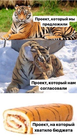 YESS Проект, который мы предложили AS Проект, который нам согласовали Проект, на который хватило бюджета