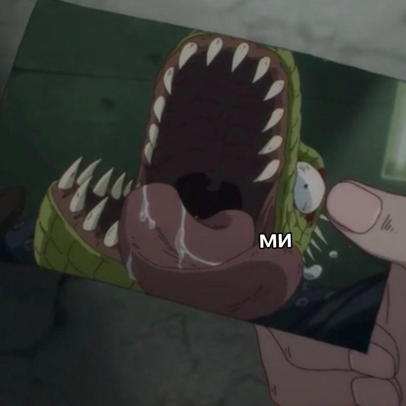 Mus