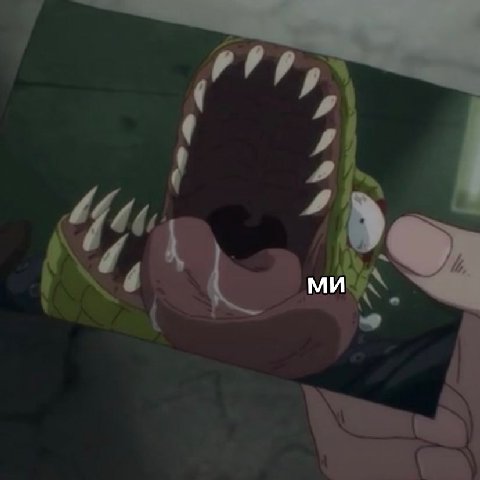 Mus
