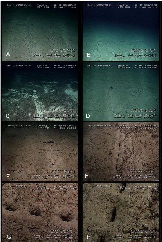 Depth. 2082.06 Heading 42 55.65942 Depth. 2080.02 Heading 42 55659258 257 чес —028 35.991 013 deg —028 36.001 5 i 2 2 3 ROU 2083.35 Heading 42 55 68662 Depth 2083.60 Heading 42 304 -028 36.000 251 deg