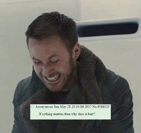 Anonymous Sun Мау 28 20:34:09 2017 №.9566525 If nothing matters then why does it hurt?